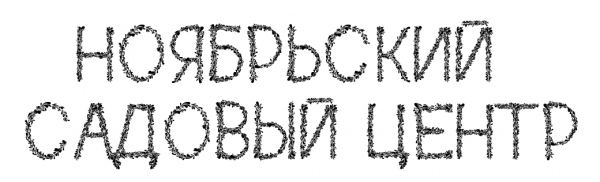Логотип компании Ноябрьский садовый центр